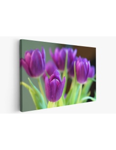 Картина на Лилави лалета - k7897185 -PAGAGAL