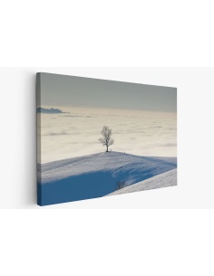 Картина на Самотно дърво в полето - k7897648 -PAGAGAL