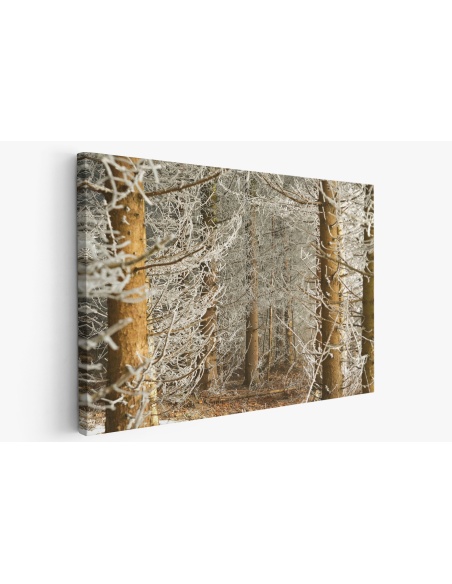 Картина на Заснежени клонки - k7897677 -PAGAGAL