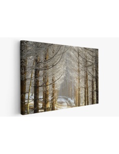 Картина на Горска зимна картина - k7897683 -PAGAGAL