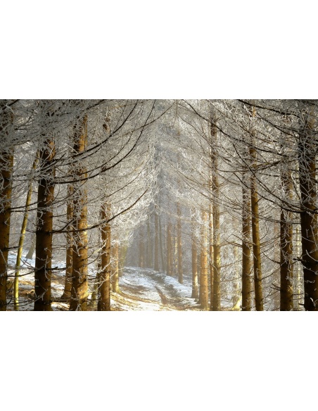 Картина на Горска зимна картина - k7897683 -PAGAGAL