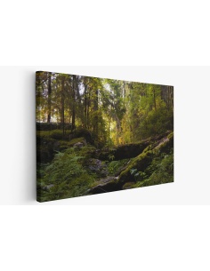 Картина на Лятна горска картина - k7901939 -PAGAGAL