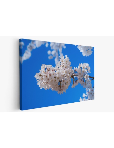 Картина на Цветове от вишна - k7902314 -PAGAGAL