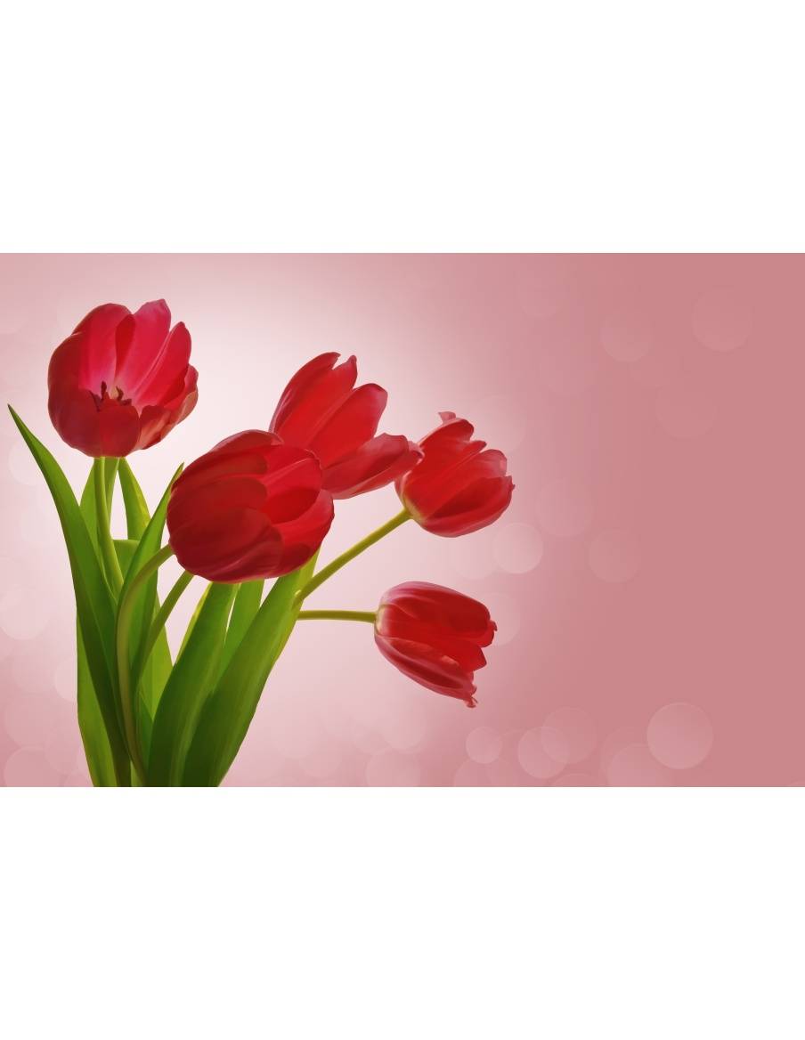 Картина на Червени лалета - k84457 -PAGAGAL