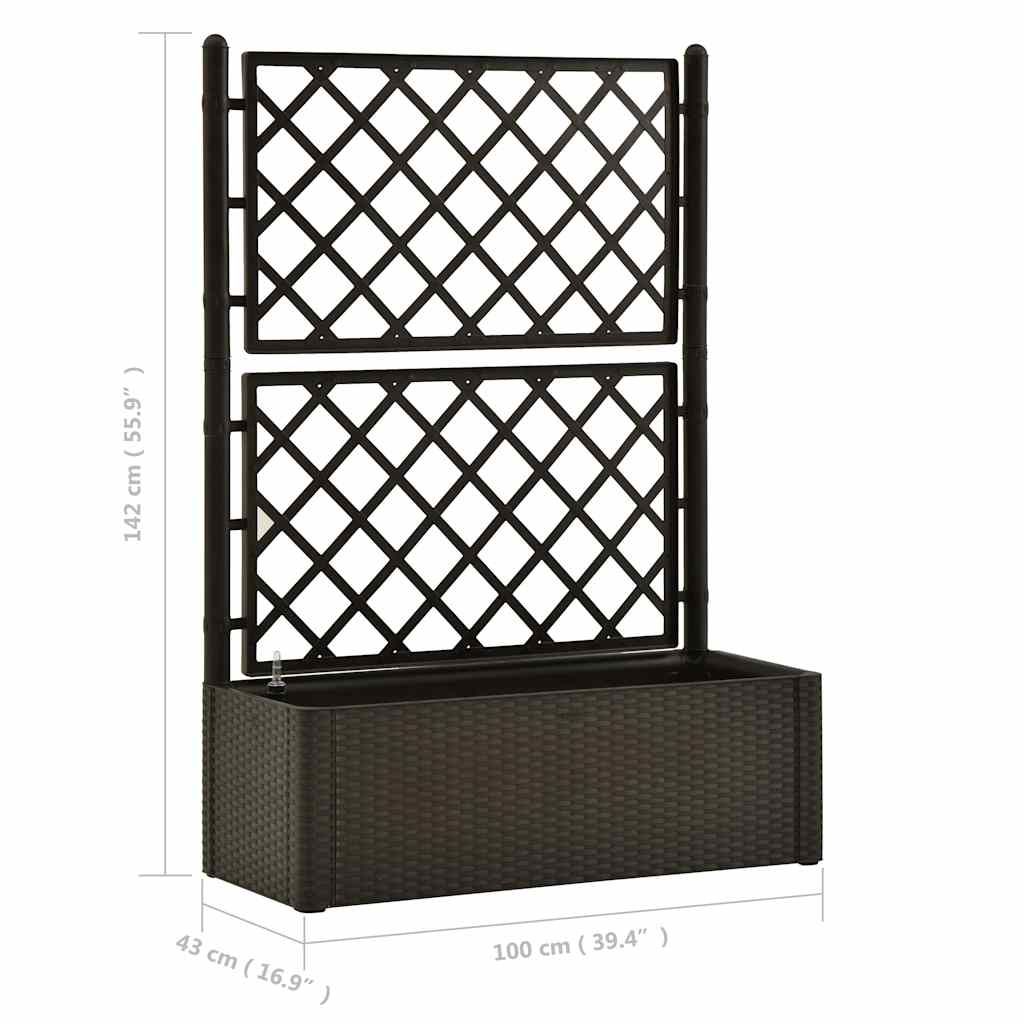 Градинска повдигната леха с решетка, самополивна, мока - VL313968 - Image 9