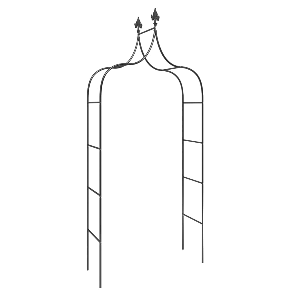 Градински арки, 2 бр, черни, 120x38x260 см, стомана - Thumbnail 3