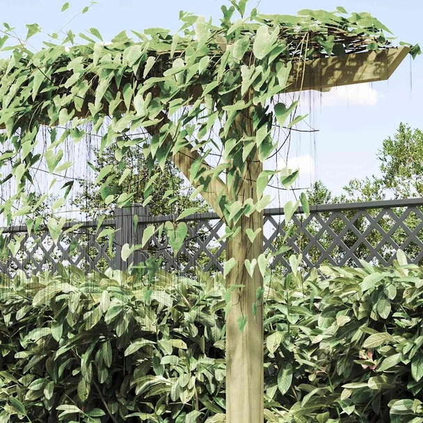 Градинска пергола, 410x40x203 см, дърво-VL41664 - Image 4